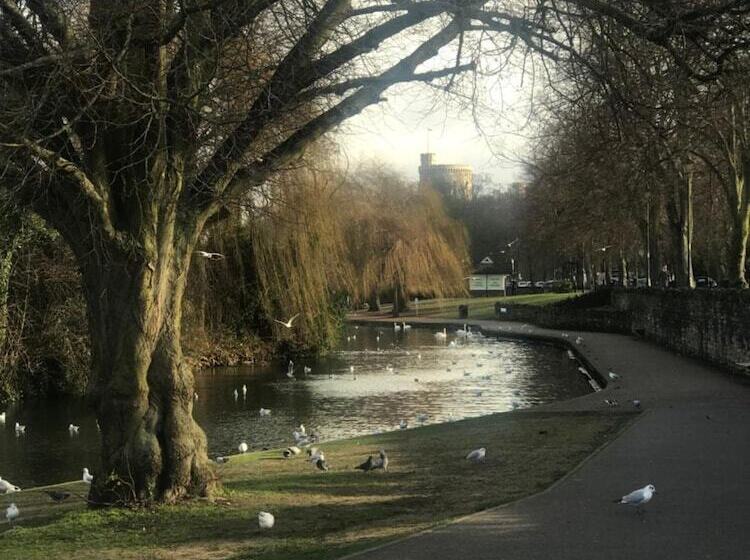 בית מלון כפרי New Oscar