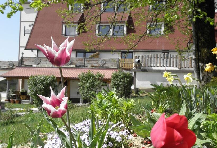 فندق Pansion Winnetou