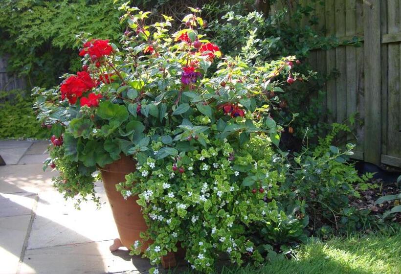 Отель Pinfield Boutique