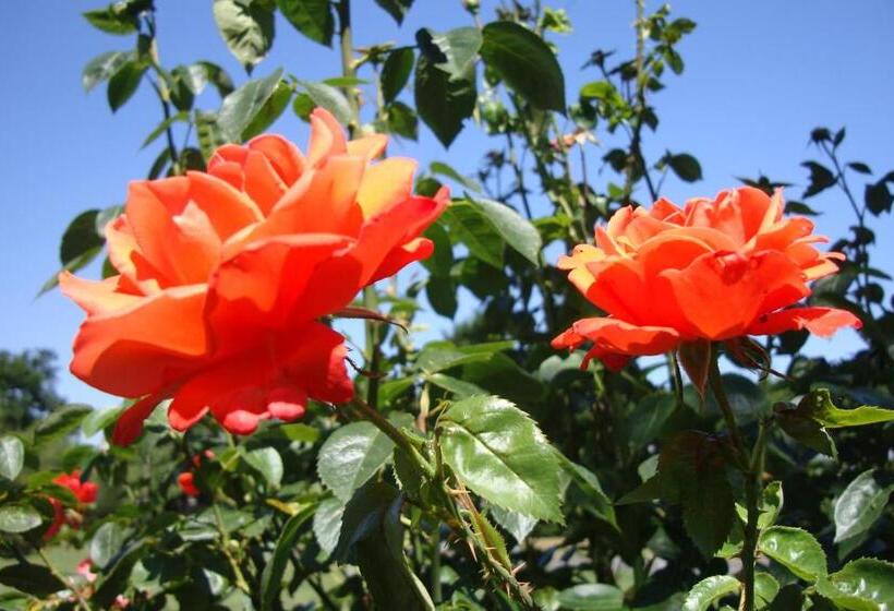 Отель Pinfield Boutique