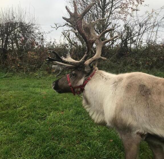 فندق Riding Farm