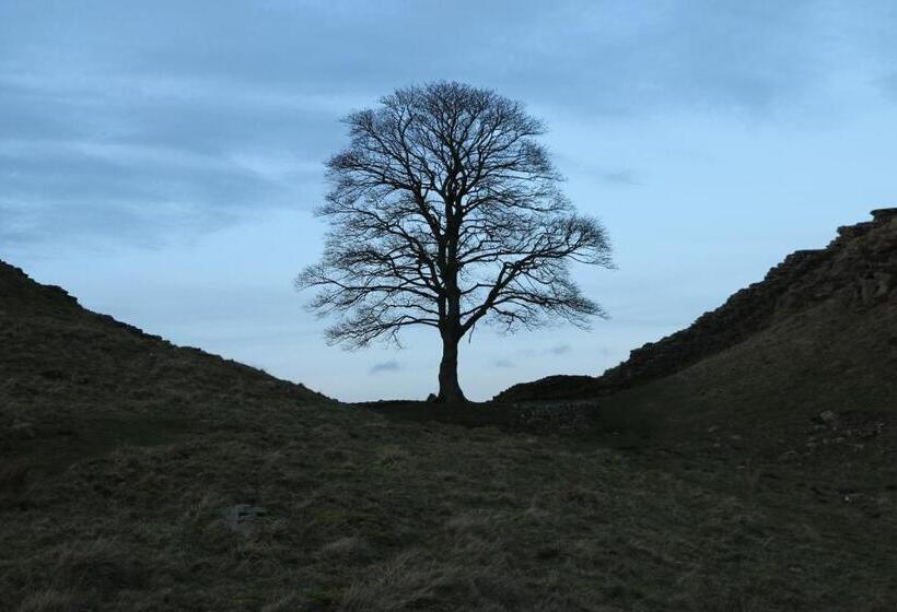 בית מלון כפרי String Of Horses