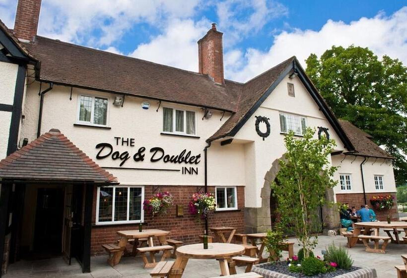 فندق ريفى The Dog & Doublet Inn