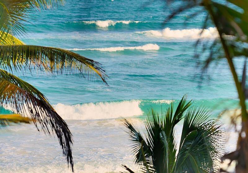 Tago Tulum By G Hotels