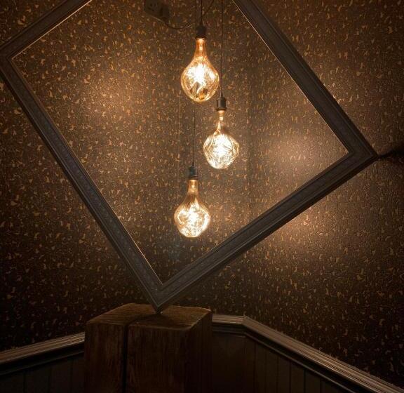 호텔 The Curious Fox