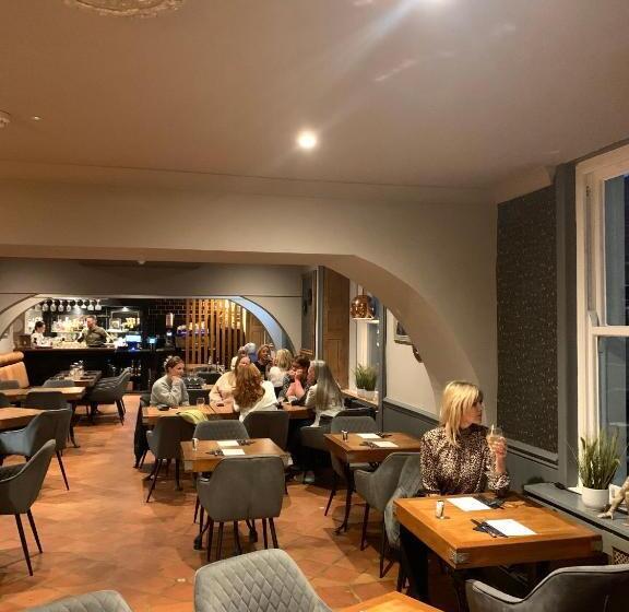 호텔 The Curious Fox