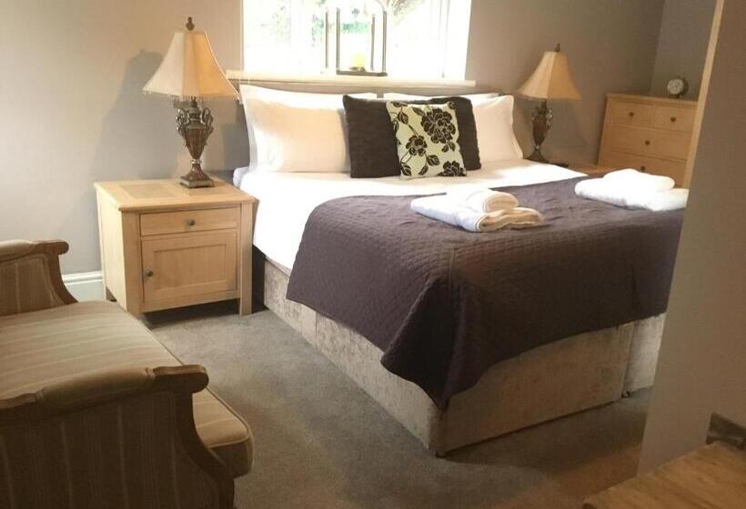 호텔 The Curious Fox