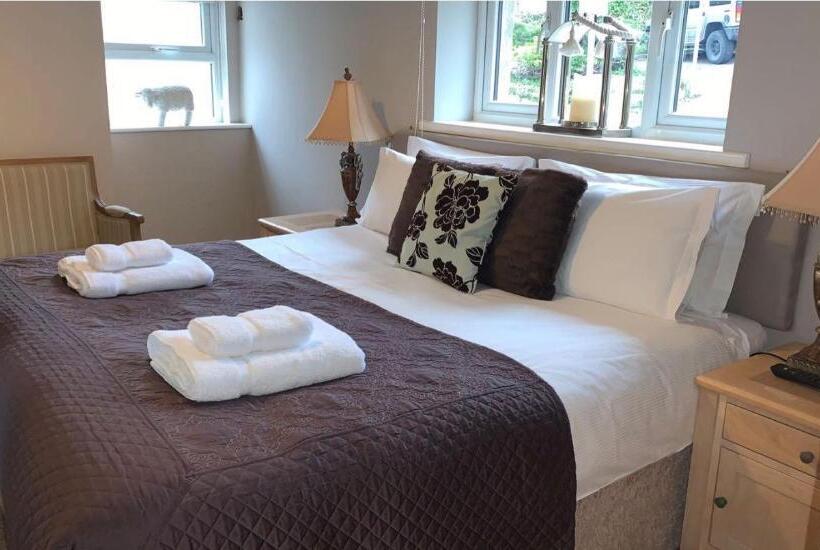 호텔 The Curious Fox