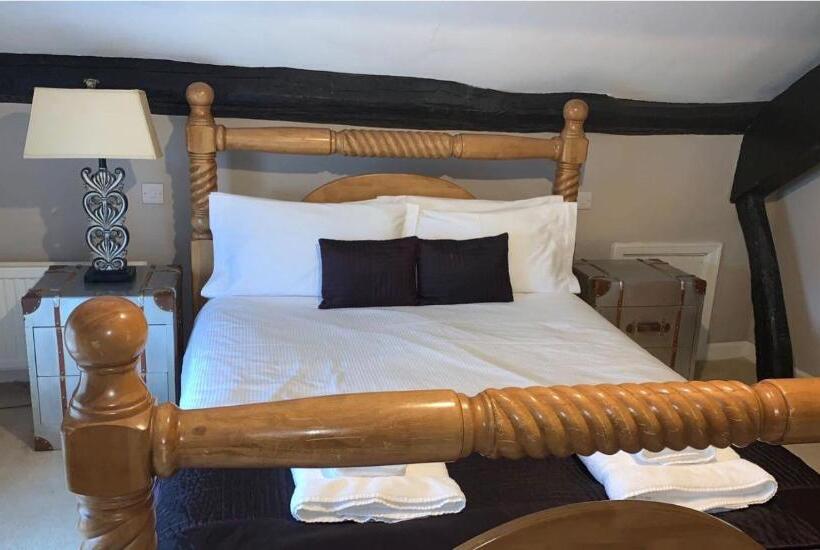 호텔 The Curious Fox