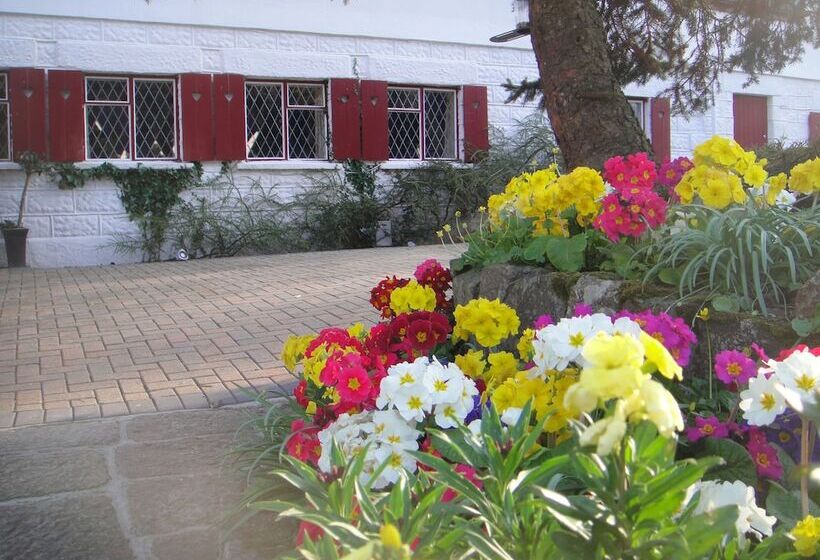 هتل Undercliff Guest House