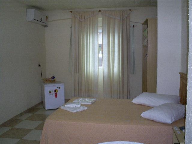 호텔 Vieira S Palace