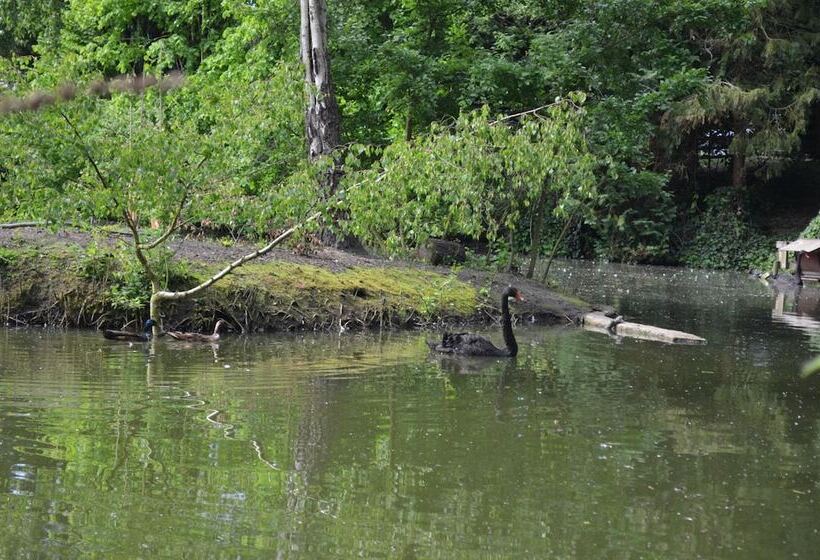 בית מלון כפרי Worplesdon Place