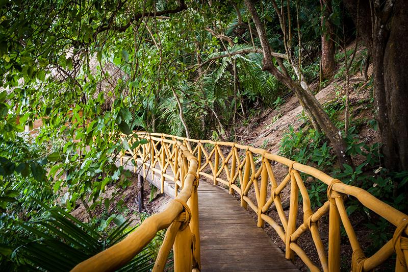 בית מלון כפרי Xinalani Retreat Mexico