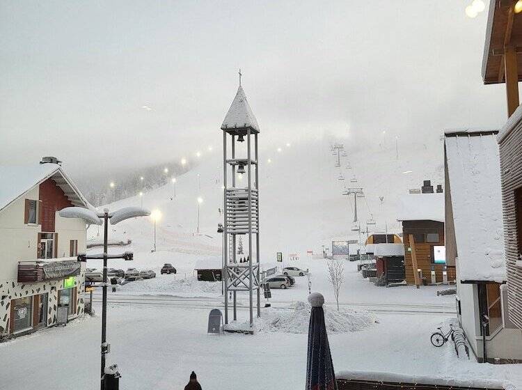 Levi Suites Levi Gold