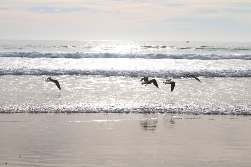 Lunja Village   Agadir