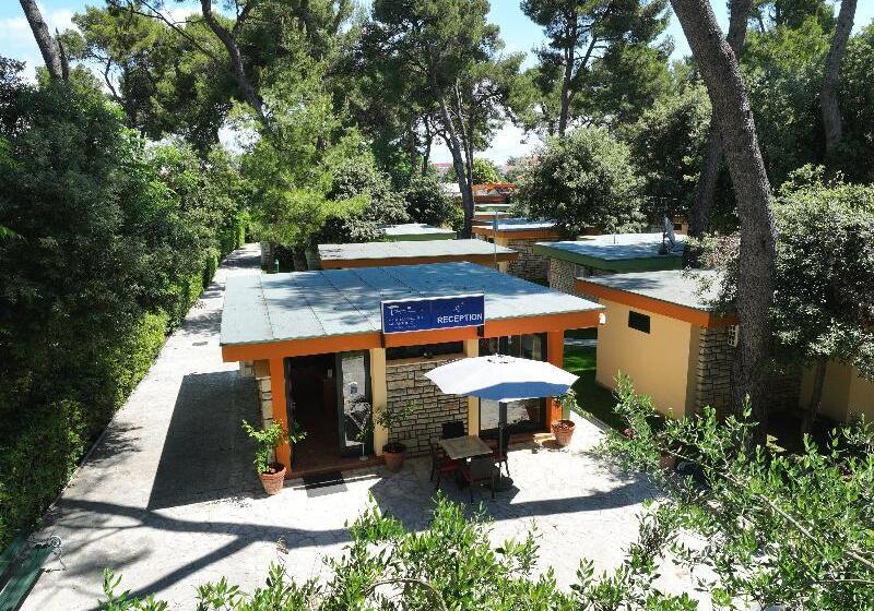 Mediterranean Village San Antonio