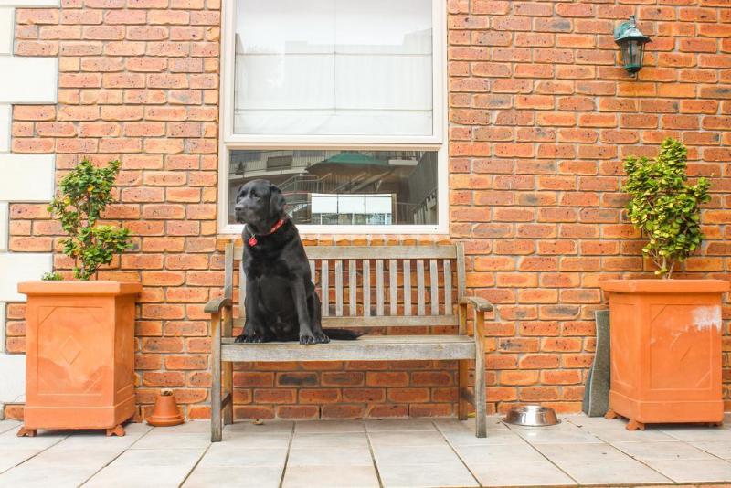 فندق على الطريق Alexis Motor Lodge