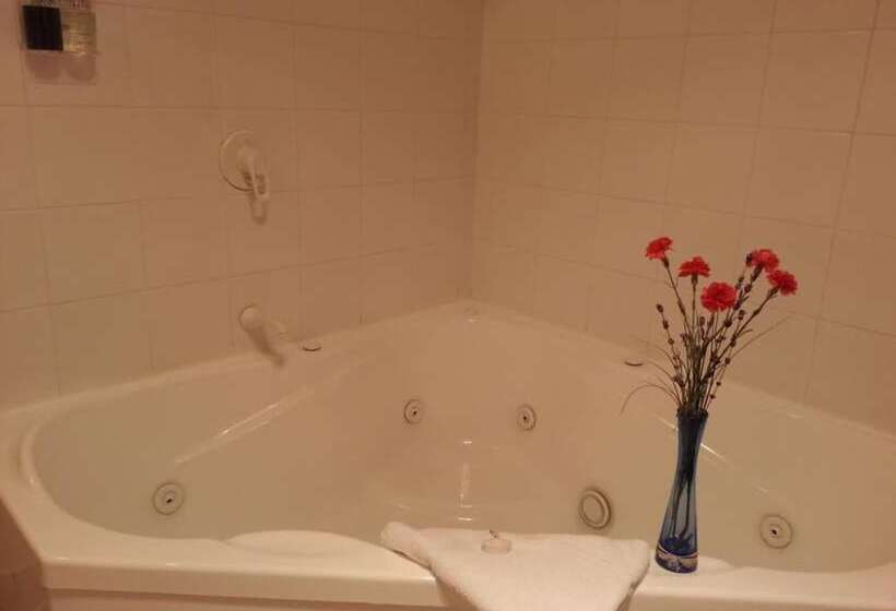 汽车旅馆 New Castle Motor Lodge