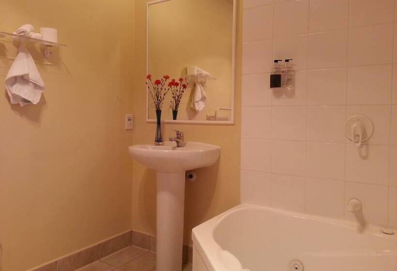 汽车旅馆 New Castle Motor Lodge