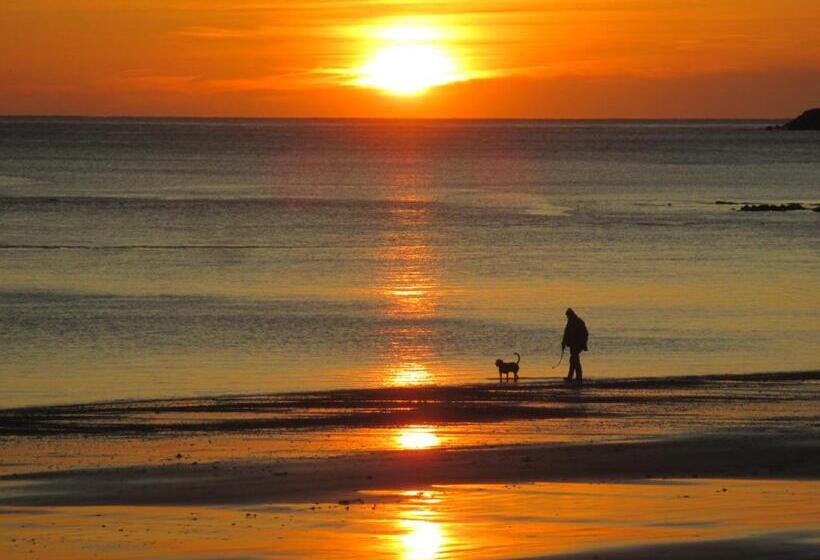 پانسیون The Kensington