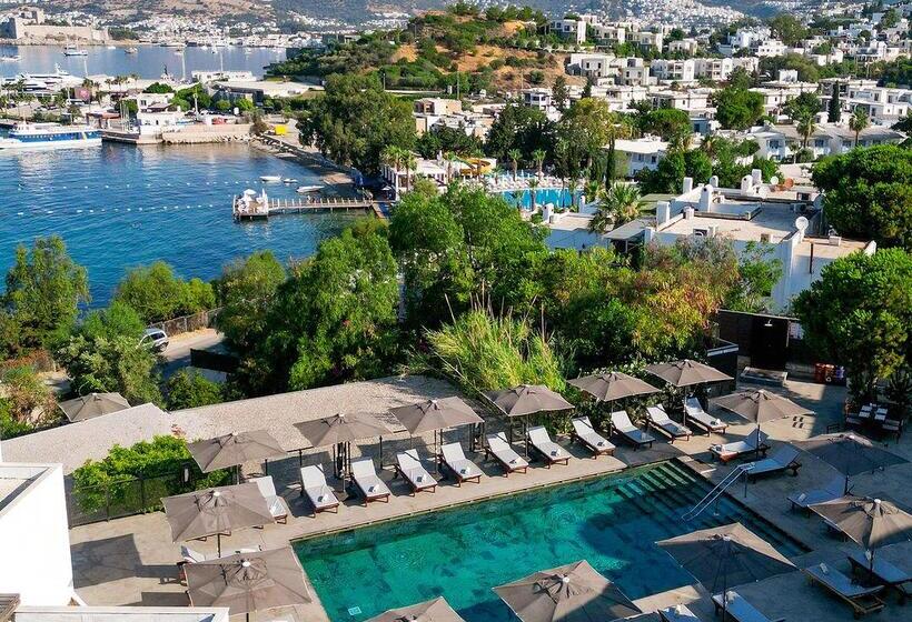 Senses Hotel   Adults Only