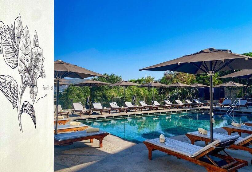 Senses Hotel   Adults Only