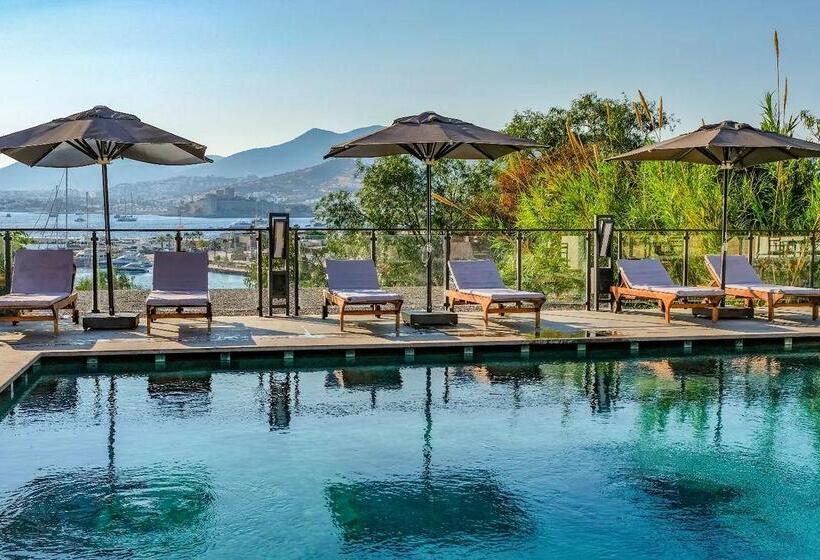 Senses Hotel   Adults Only