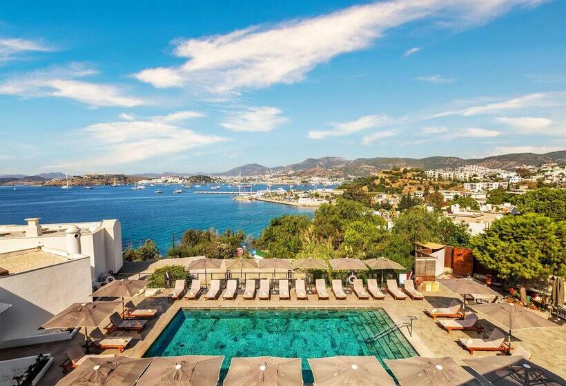 Senses Hotel   Adults Only