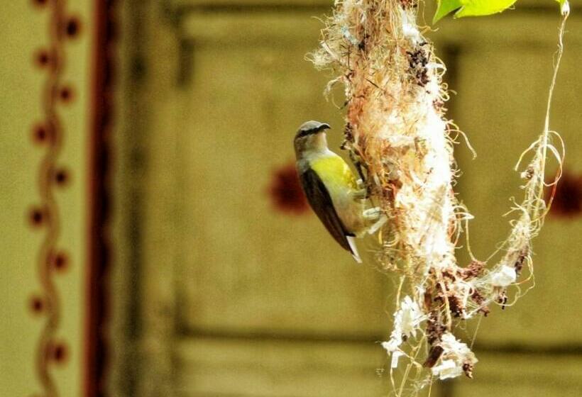 בית מלון כפרי Parashar Agri & Culture Tourism