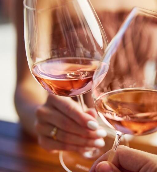 בית מלון כפרי Thaya Vinařství