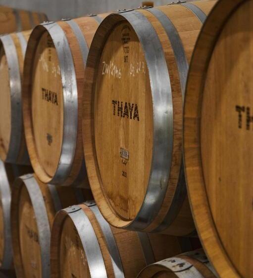 בית מלון כפרי Thaya Vinařství