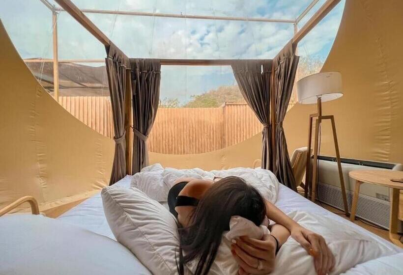 فندق The X10 Nordic Tent And Glamping Pool Villa Khaoyai เขาใหญ่   Sha Certified