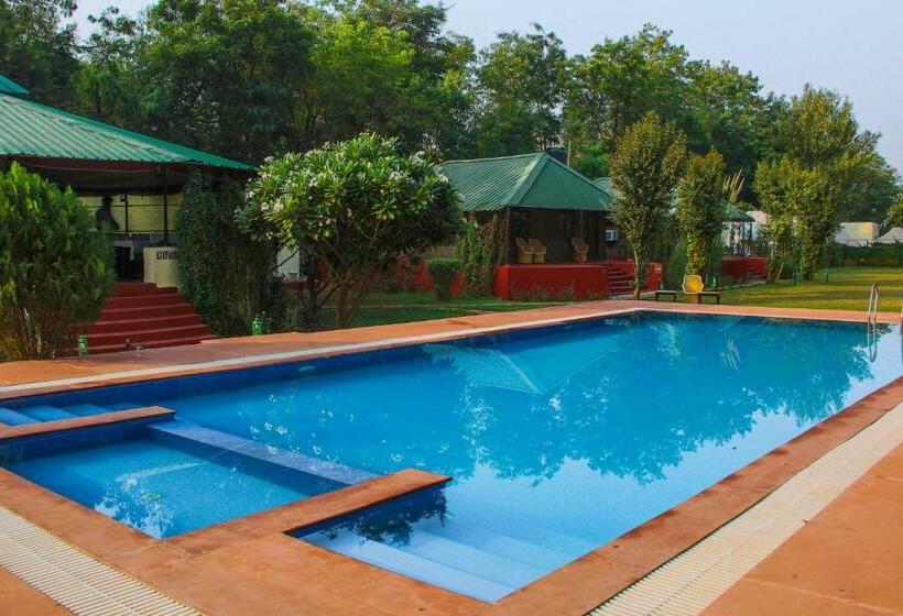 Jungle View Resort Ranthambhore