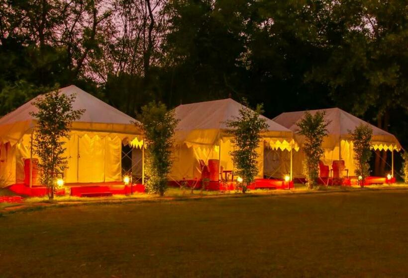Jungle View Resort Ranthambhore