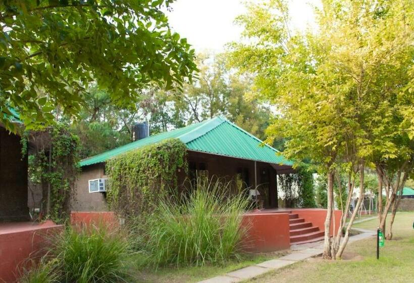 Jungle View Resort Ranthambhore