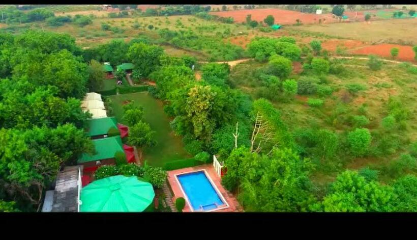 Jungle View Resort Ranthambhore