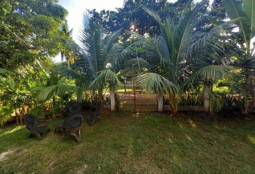 פנסיון Anerose Homestay