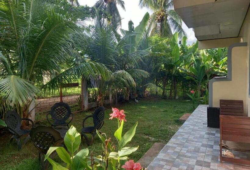 פנסיון Anerose Homestay