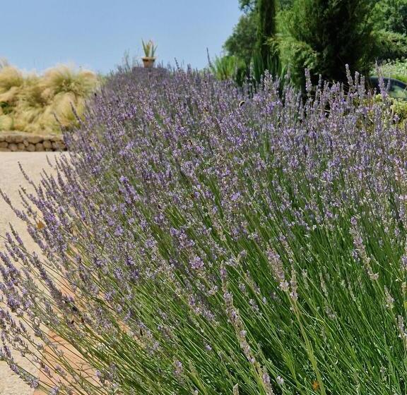 膳宿费 Barbarens Maison D Hotes