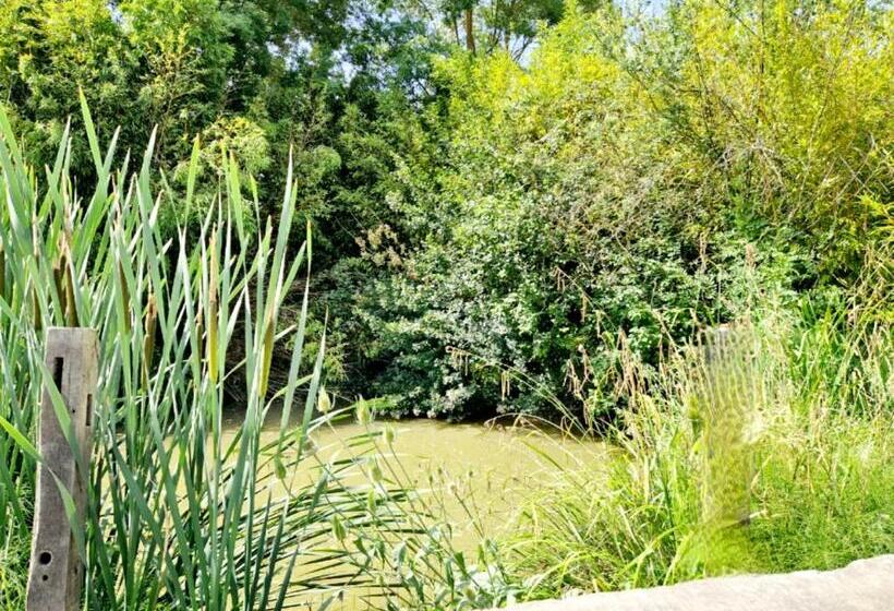 膳宿费 Barbarens Maison D Hotes