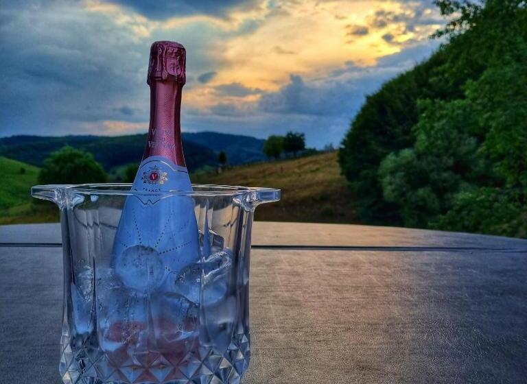 Пансион Complex Dealu  Frumos