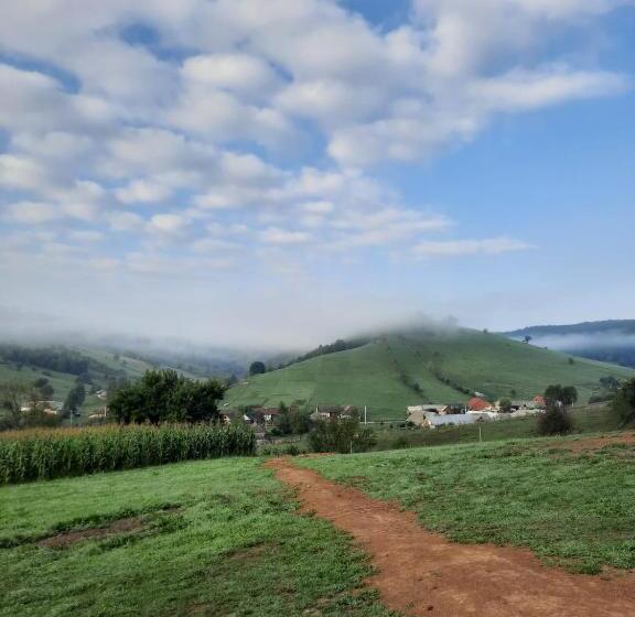 Пансион Complex Dealu  Frumos