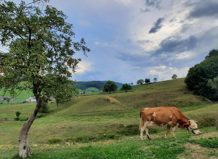 Пансион Complex Dealu  Frumos