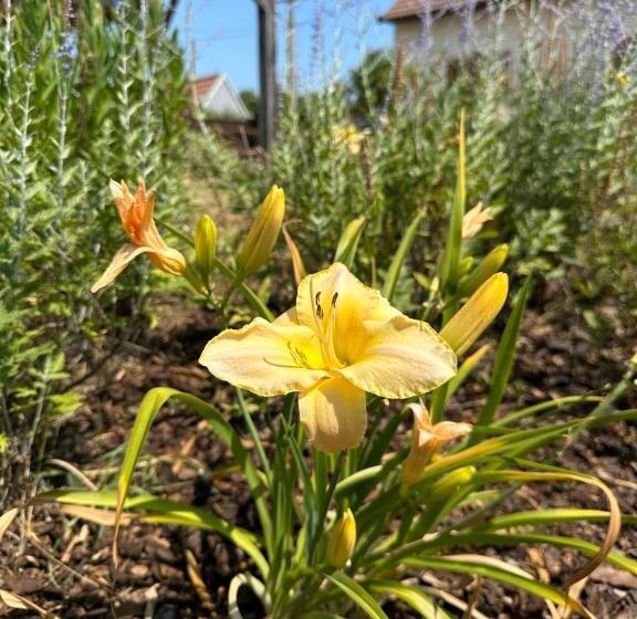 펜션 Degustarium Bavory