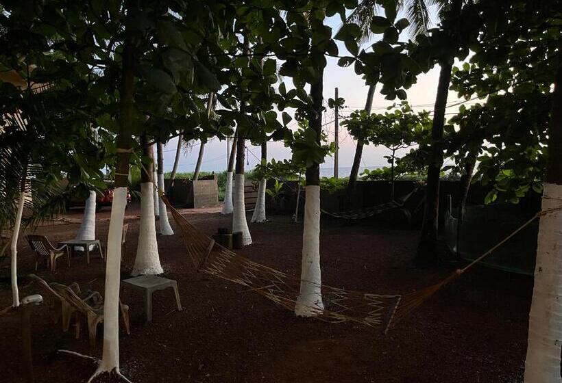 膳宿费 Kizhunna Rock Beach House