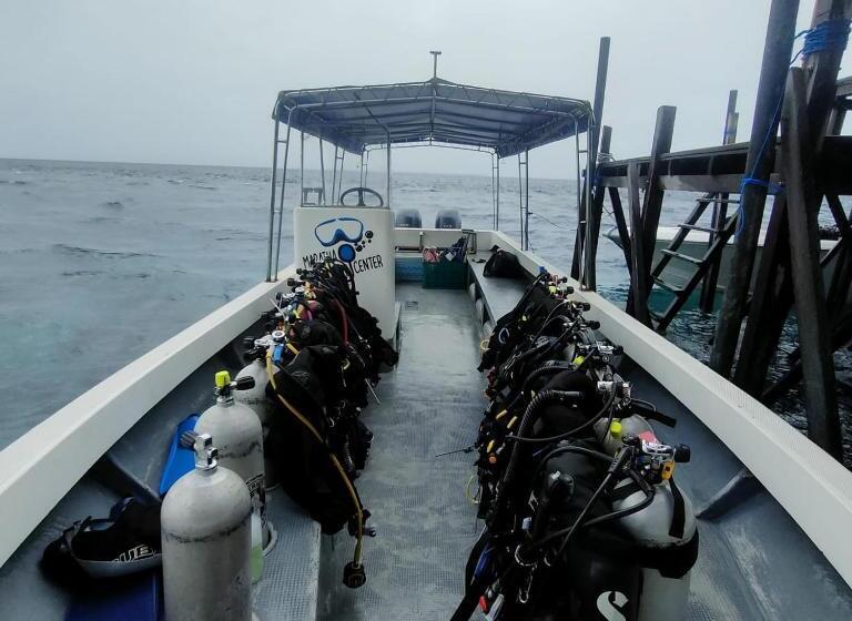 بنسيون Maratua Dive Center And Lodge