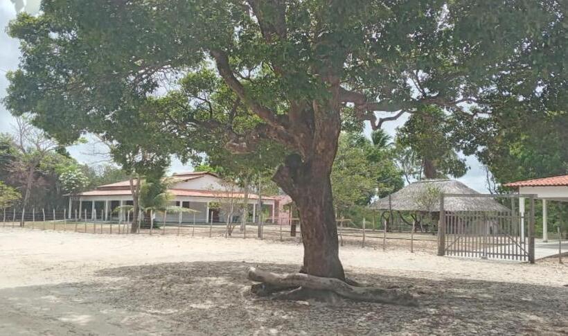 ユースホステル Pousada Lagoa Do Barreiro Azul
