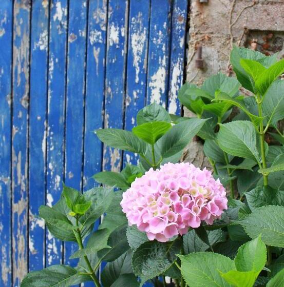 ベッドアンドブレックファースト Bretagne Chambre D Hôtes Suite 53m2 Et Caravane Vintage Avec Cuisine Et Salle De Bains Privées Britt