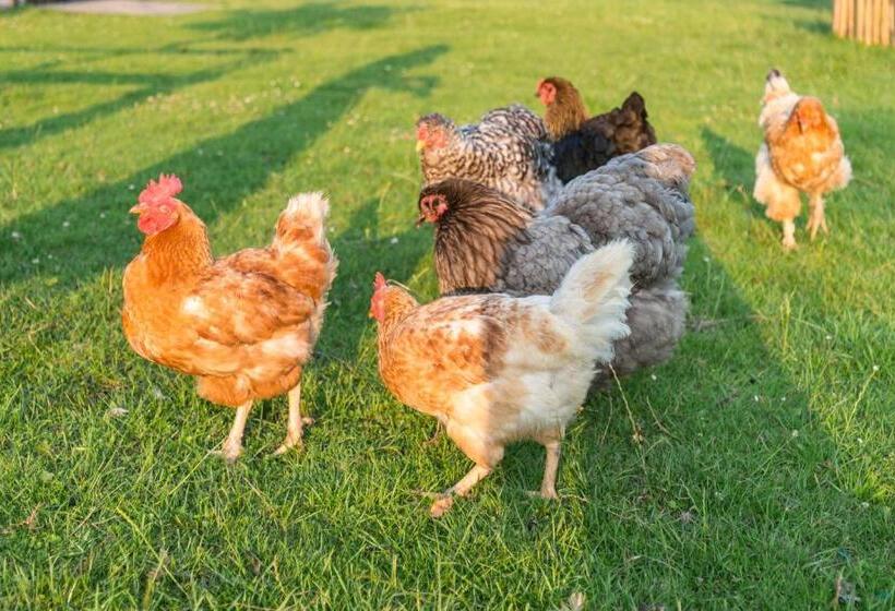 צימר Bed En Breakfast Puur8a