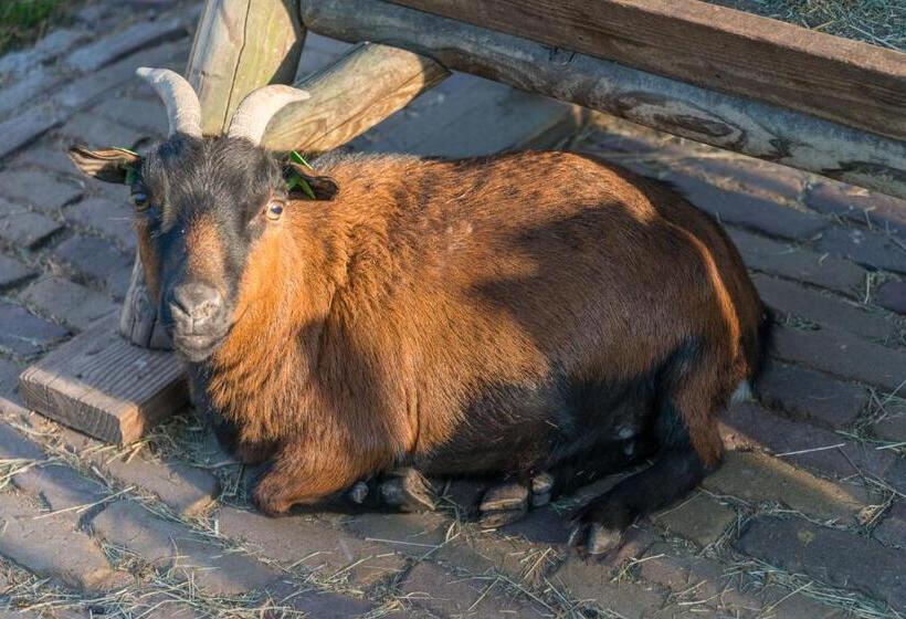 צימר Bed En Breakfast Puur8a